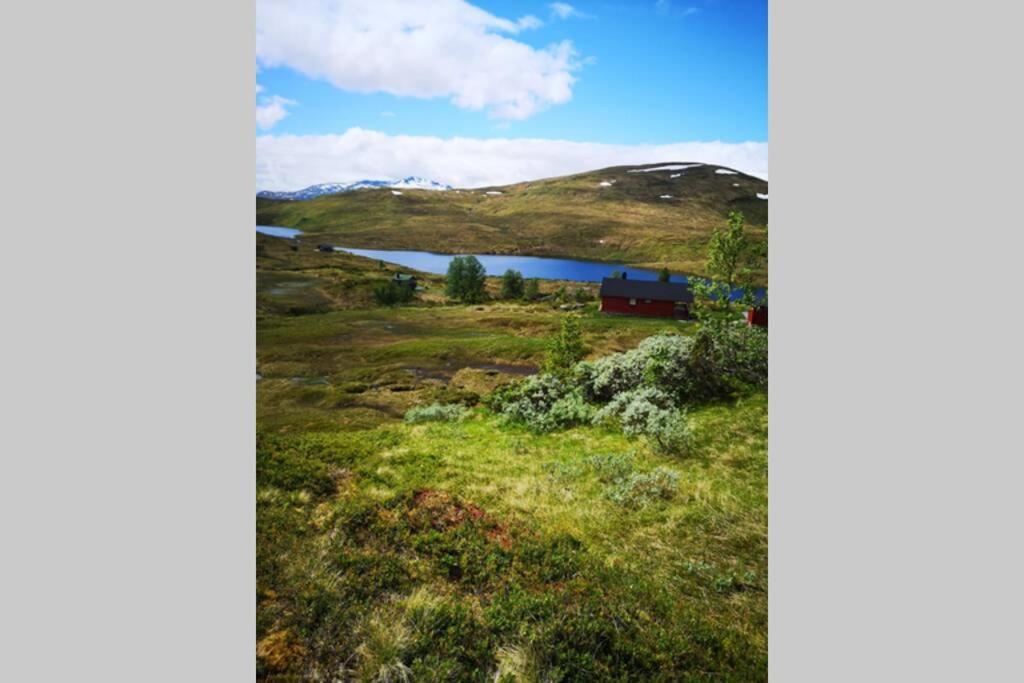 Casa Kleiv I Sogndalsdalen Βίλα Εξωτερικό φωτογραφία